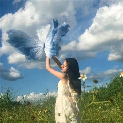 头部网红言论翻车，官方介入调查，长达一周引热议